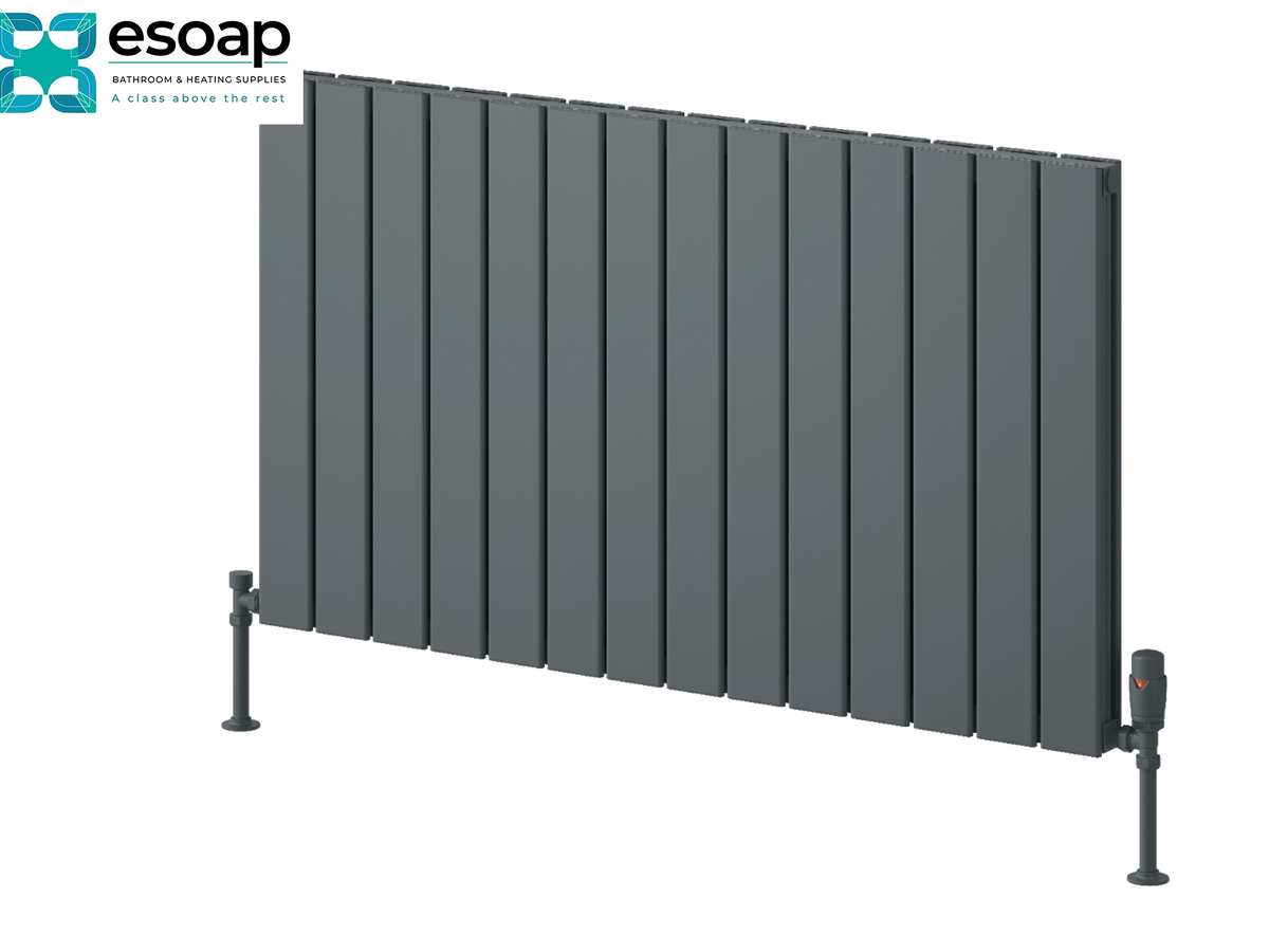 A dark gray panel radiators by Esoap, featuring vertical fins and adjustable support legs, shown on a solid white background with the Esoap brand logo in the top-left corner. Reina Piatto Horizontal Double 600x1045 Anthracite Designer Radiator
