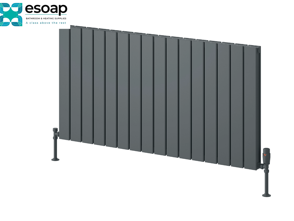 A dark gray vertical-panel radiators by Esoap, shown at an angle on a white background with the Esoap logo in the top-left corner. Reina Piatto Horizontal Double 600x1195 Anthracite Designer Radiator