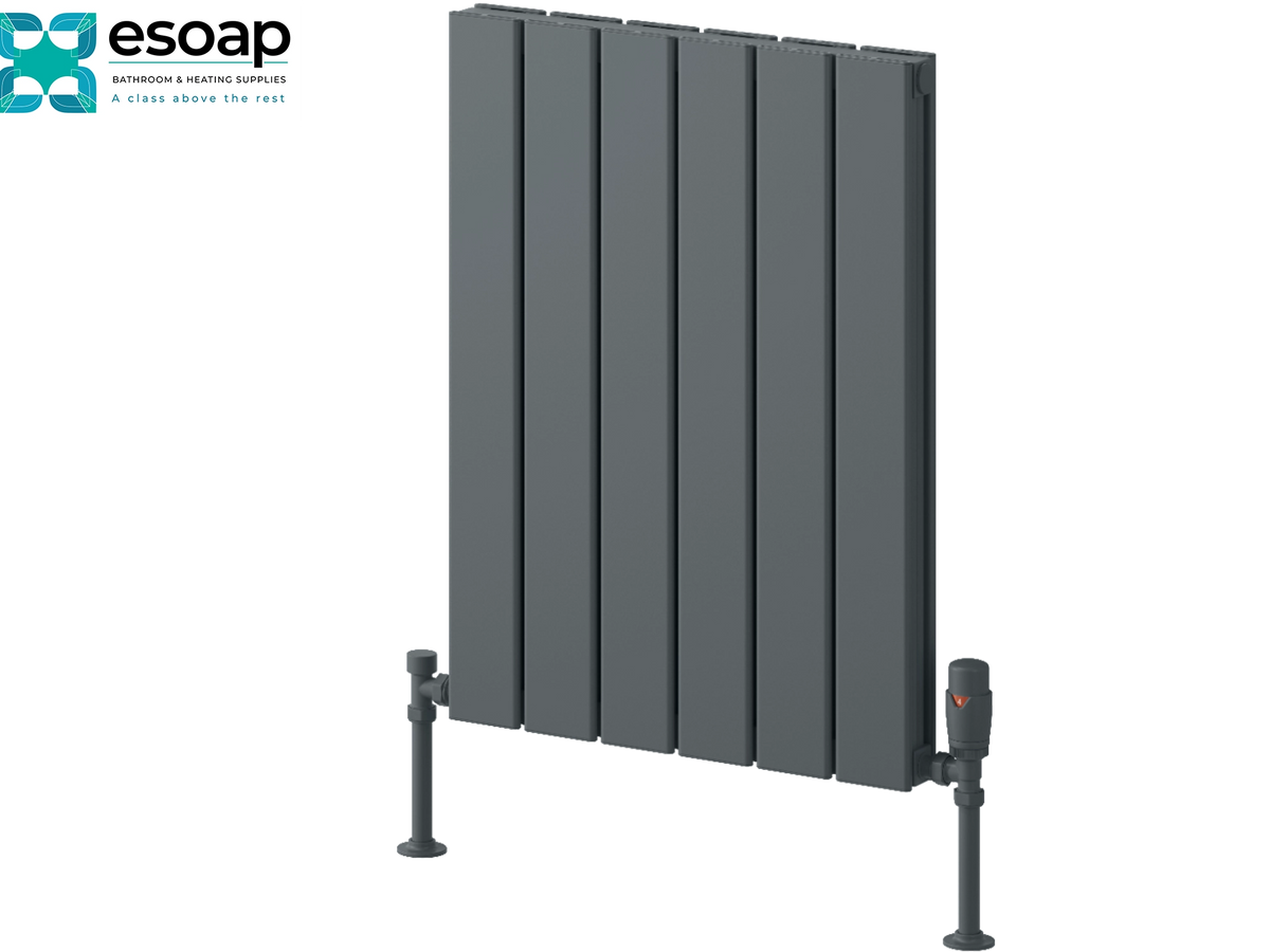 A dark gray vertical panel radiator shown on a white background with the essoap logo in the top-left corner. Reina Piatto Horizontal Double 600x445 Anthracite Designer Radiator