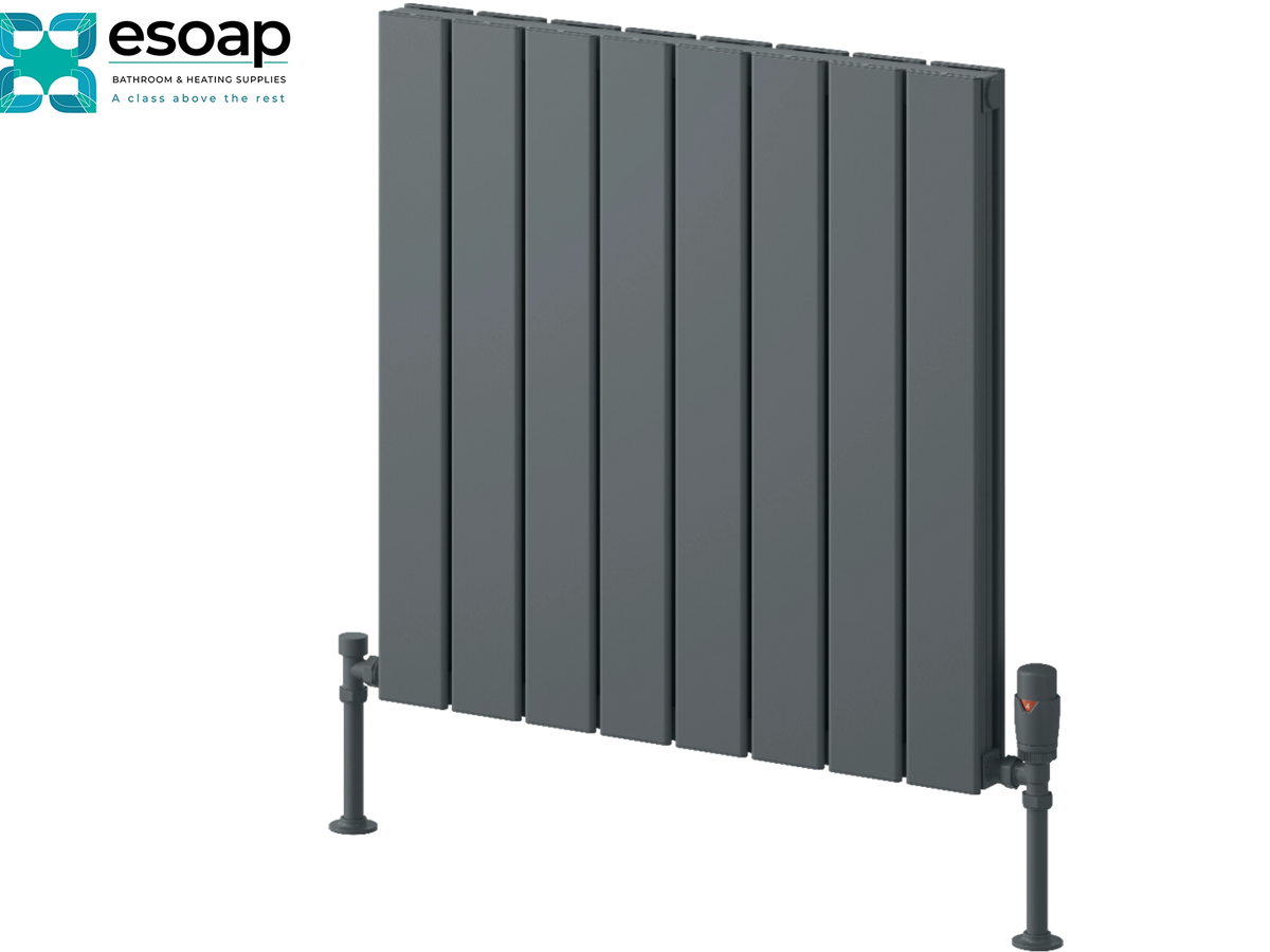 A dark gray vertical-panel radiators by Esoap, shown from a three-quarters angle with its support legs and central valve visible against a plain white background. Reina Piatto Horizontal Double 600x595 Anthracite Designer Radiator