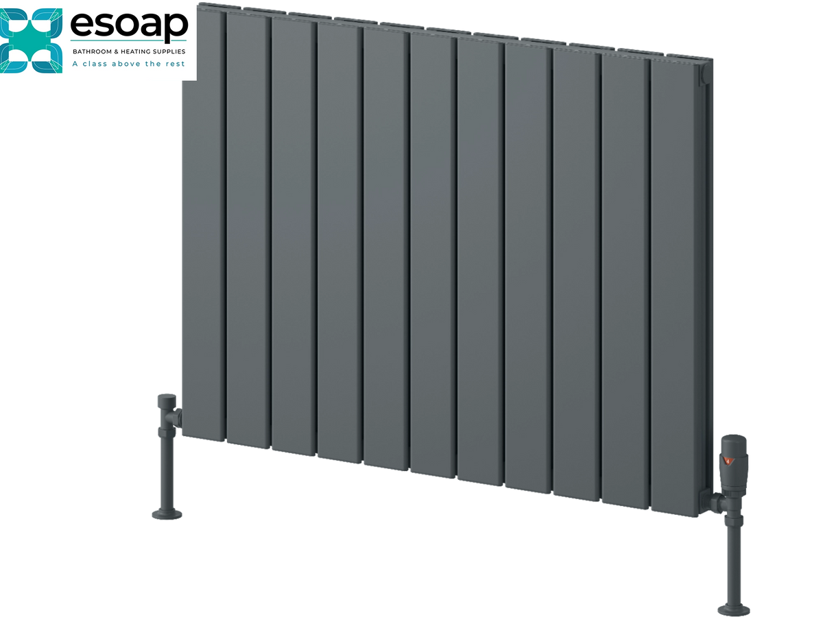 A dark gray panel radiators by Esoap, featuring vertical fins and adjustable support legs, shown on a plain white background with the Esoap brand logo in the top-left corner. Reina Piatto Horizontal Double 600x820 Anthracite Designer Radiator