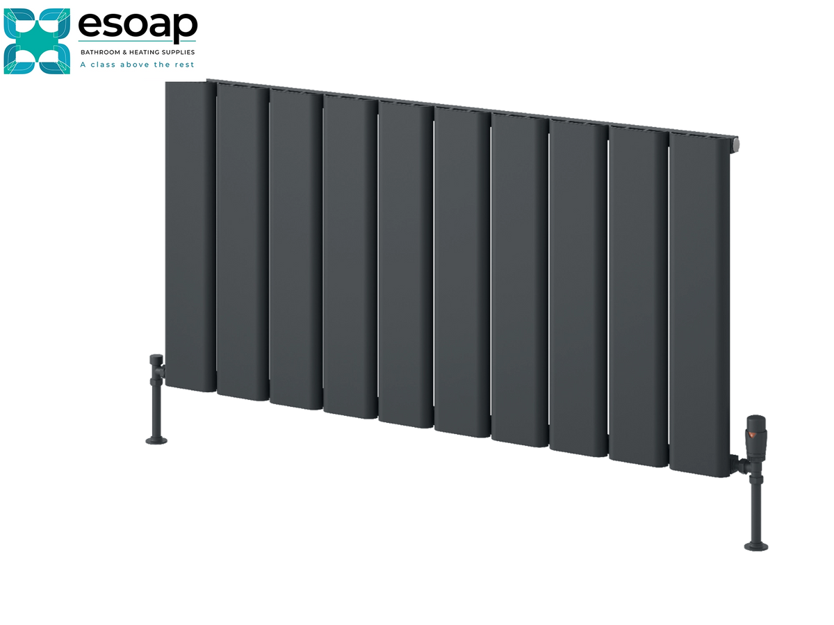 A dark gray sectional panel radiator with a vertical slatted design, shown from a three-quarters angle with a central valve and two support feet on a white background. The Esoap brand logo is visible in the top-left corner Reina Caldaro Horizontal 600x1245 Anthracite Designer Radiator