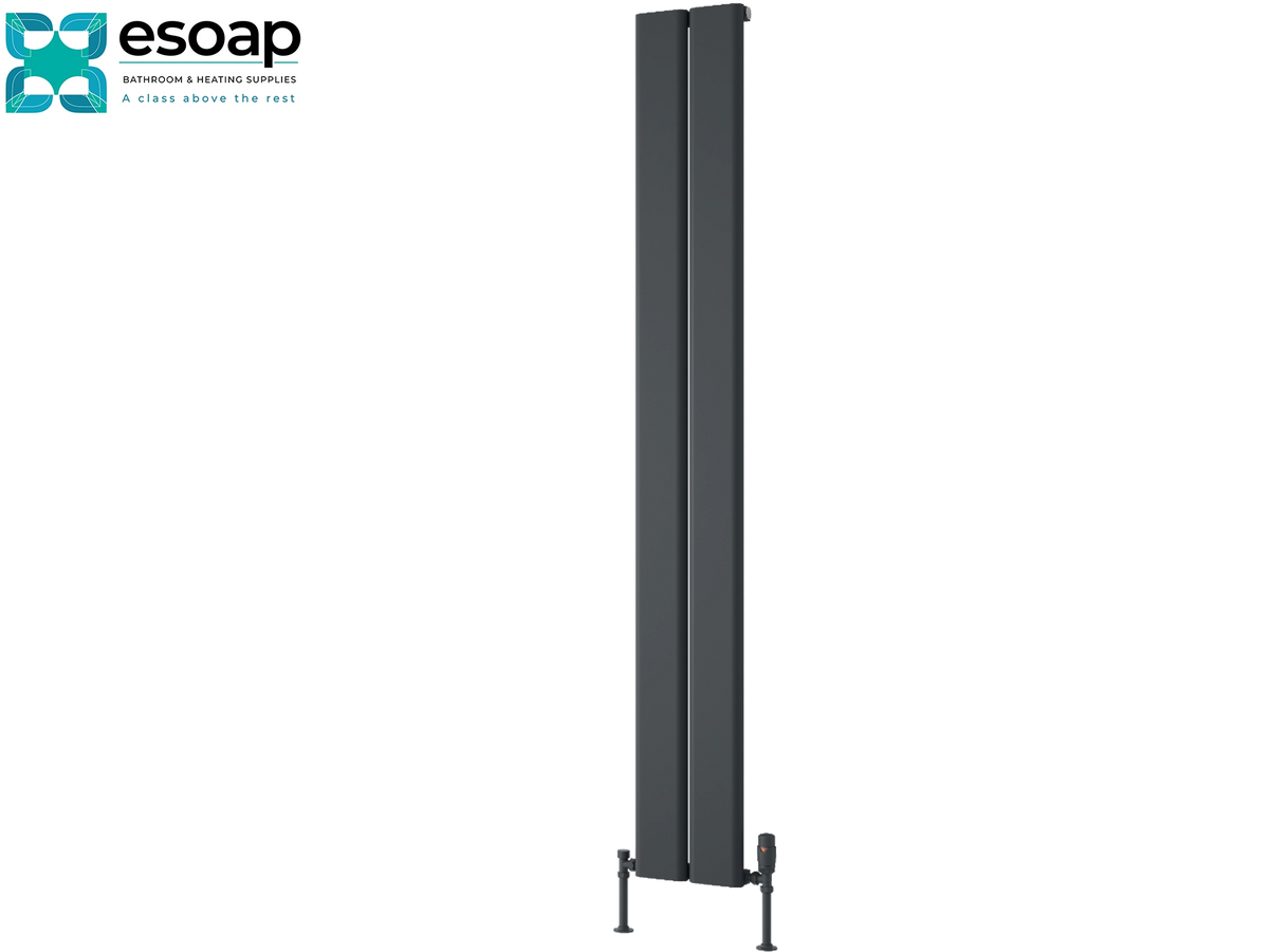 A tall, narrow dark gray vertical panel radiator with adjustable feet, shown on a plain white background with the Esoap logo in the top-left corner Reina Caldaro Vertical 1800x245 Anthracite Designer Radiator