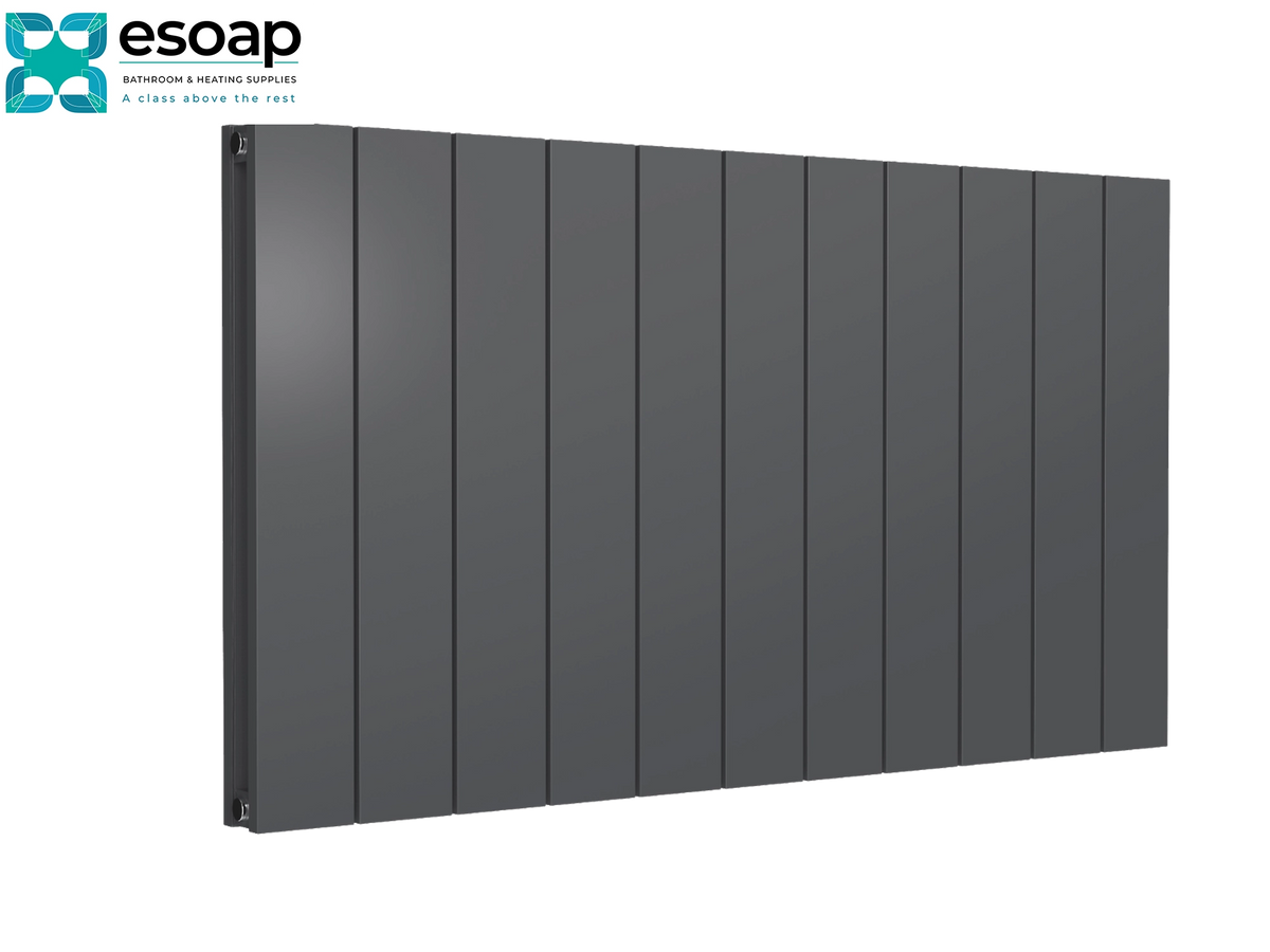 A dark gray panel radiator shown at an angle on a white background, with the Esoap brand logo in the top-left corner Reina Casina Horizontal Double 600x1040 Anthracite Designer Radiator