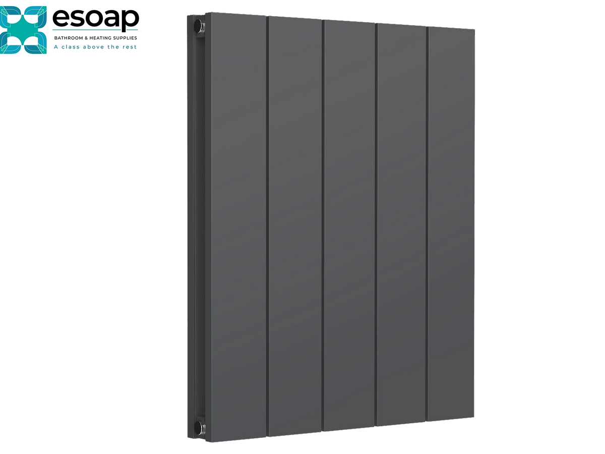 A dark gray vertical panel radiator shown at a three-quarter angle on a white background, with the Esoap brand logo in the top-left corner Reina Casina Horizontal Single 600x470 Anthracite Designer Radiator