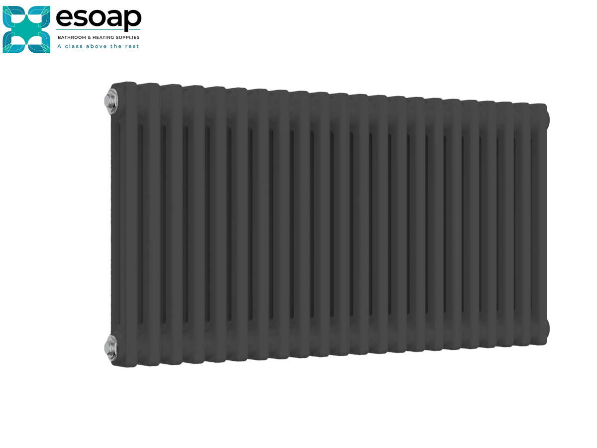 A dark gray cast iron radiator with vertical fins, shown from a three-quarters angle on a white background with the Esoap logo in the top-left corner Reina Colona Horizontal 2 Column 500x1010 Anthracite Designer Radiator
