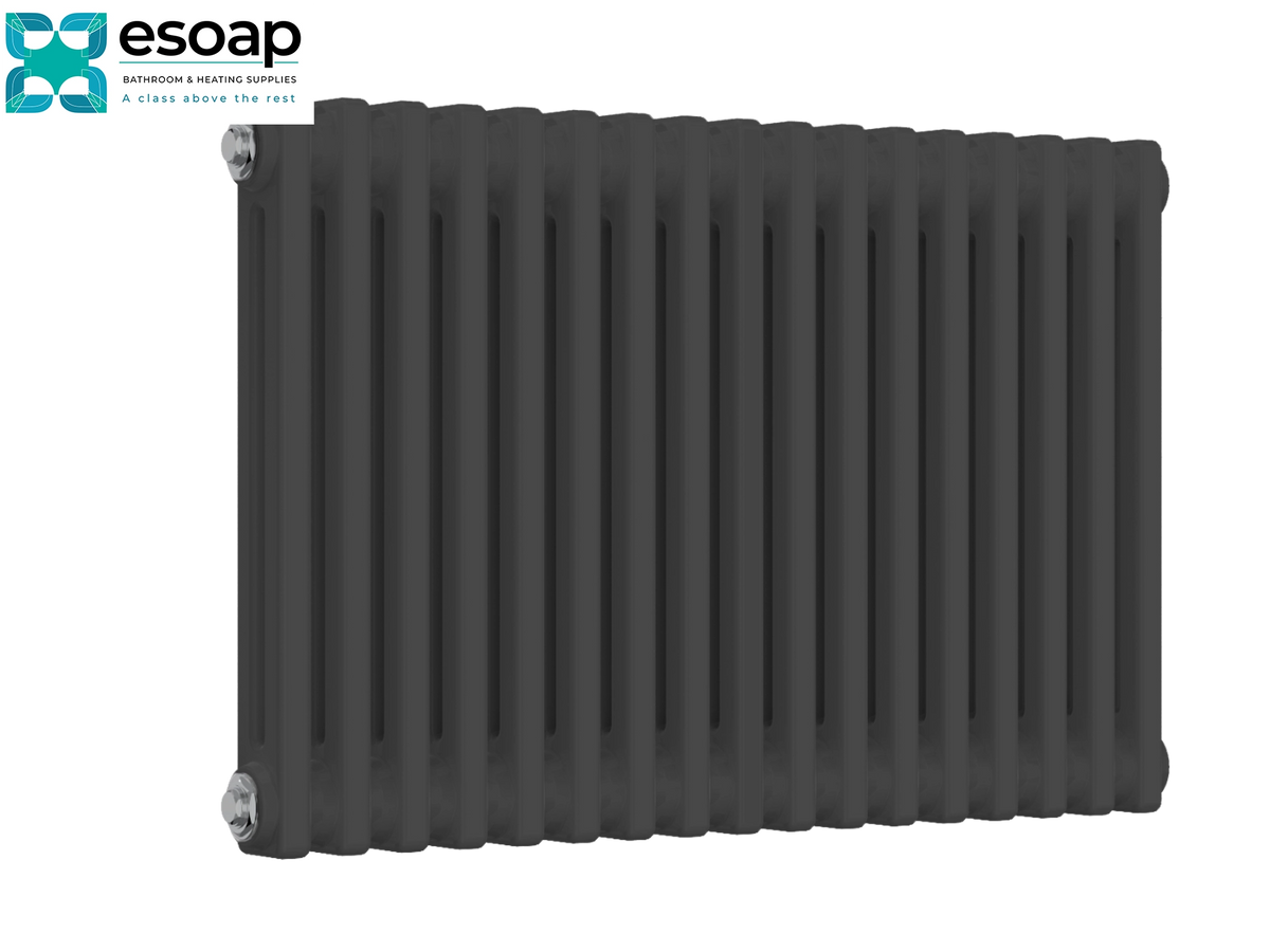 A dark gray cast iron radiator shown from a three-quarter angle on a white background, featuring the Esoap brand logo in the top-left corner Reina Colona Horizontal 2 Column 500x785 Anthracite Designer Radiator