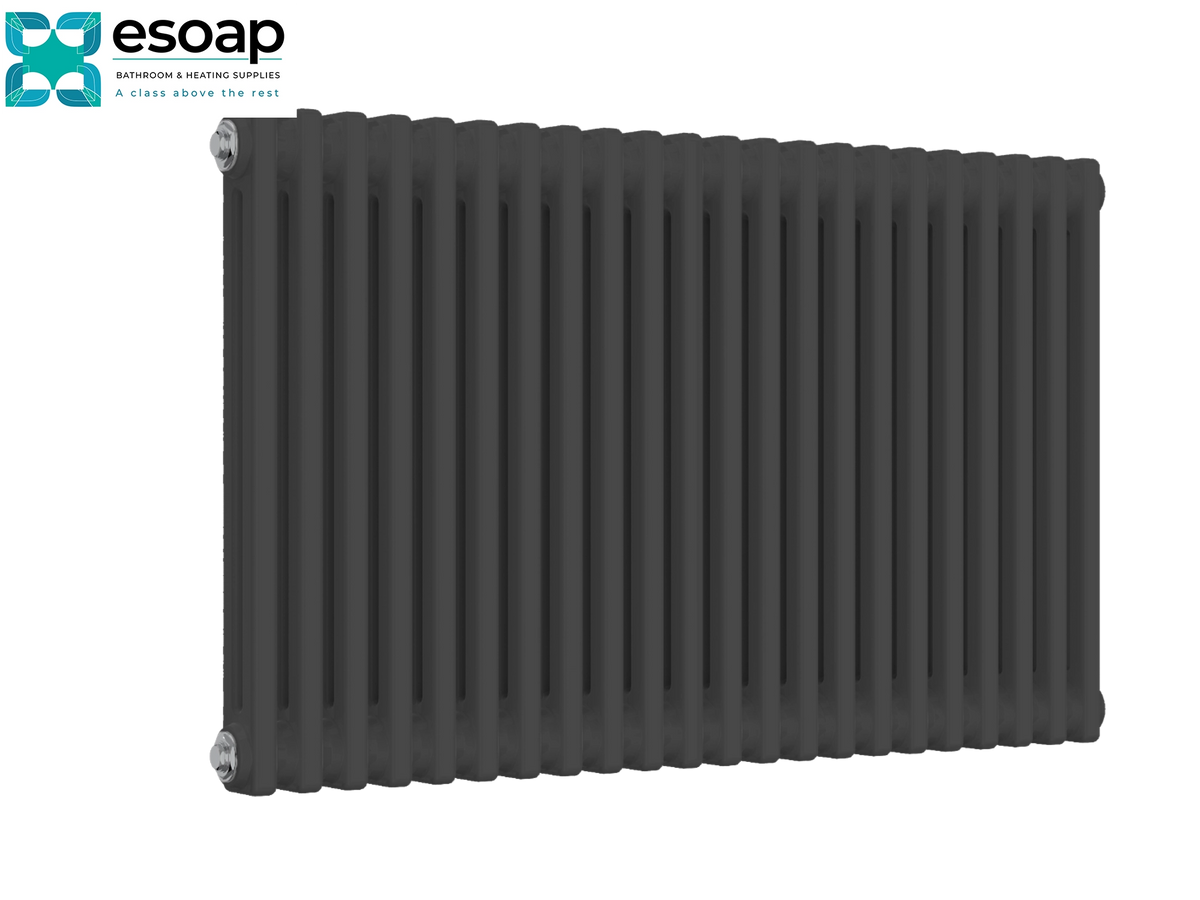 A dark charcoal gray ribbed panel radiator shown from a three-quarters perspective on a white background, with the esoop brand logo in the top-left corner Reina Colona Horizontal 2 Column 600x1010 Anthracite Designer Radiator