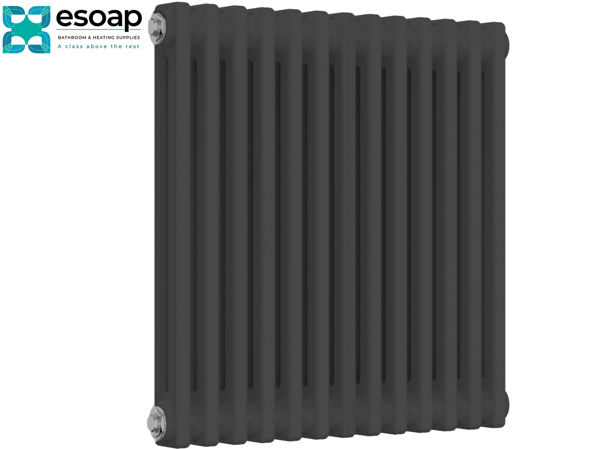 A dark charcoal gray ribbed panel radiator shown at a three-quarter angle on a white background, with the Esoap brand logo in the top-left corner Reina Colona Horizontal 2 Column 600x605 Anthracite Designer Radiator