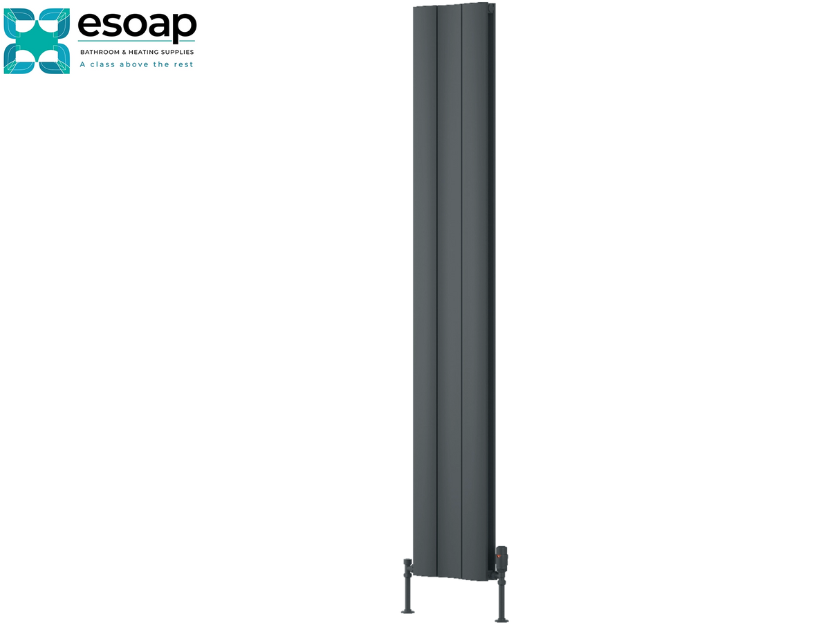 A tall, narrow dark gray vertical panel heater with adjustable feet, shown on a plain white background with the Esoap brand logo in the top-left corner. Reina Gio Double 1800x280 Anthracite Designer Radiator