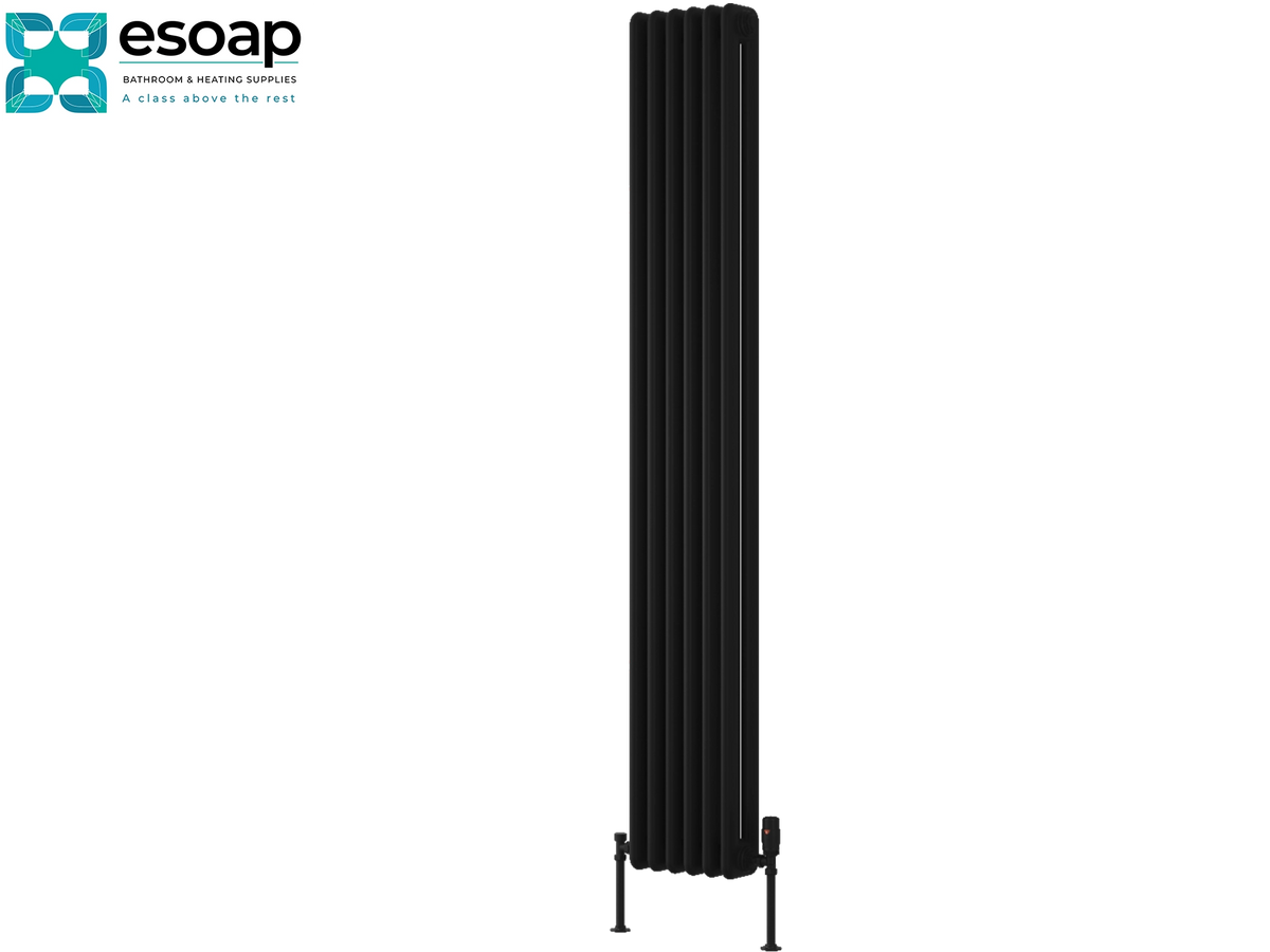 A tall black cast iron radiator with a multi-panel vertical design, shown on a plain white background with the Esoap brand logo in the top-left corner Reina Hedingham Vertical 1800x285 Black Designer Radiator