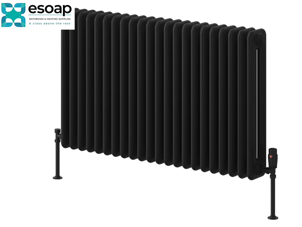 A black cast iron radiators with support legs, shown against a solid white background with an Esoap logo in the top-left corner Reina Hedingham Horizontal 600x1000 Black Designer Radiator