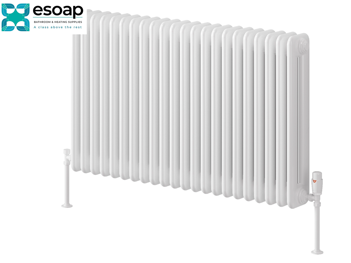White cast iron radiator with vertical panels and a valve at the bottom right, shown on a white background with an Esoap logo in the top left corner Reina Hedingham Horizontal 600x1000 White Designer Radiator

