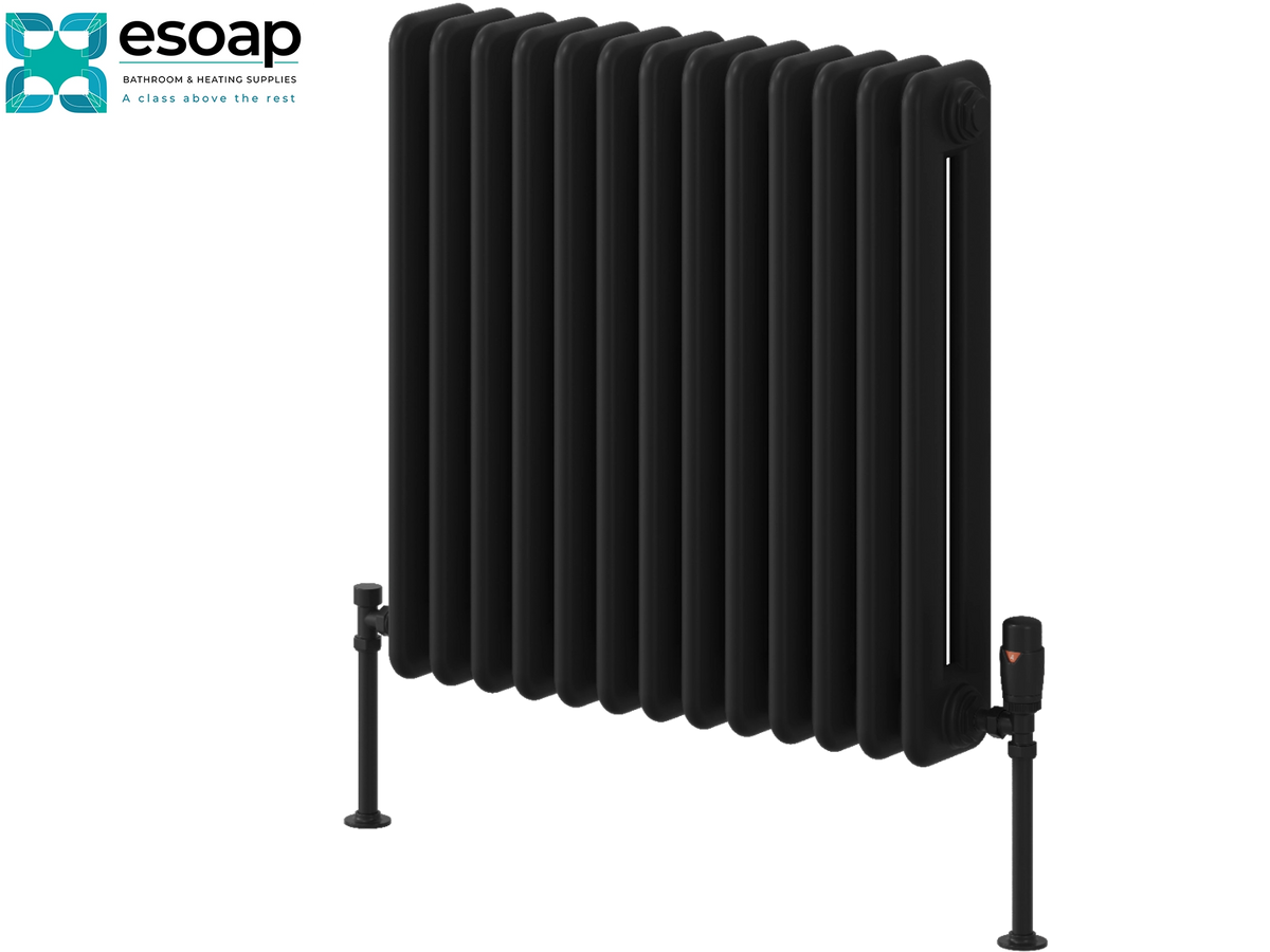 A black multi-panel column radiator with a central vertical pipe and two black support feet, shown on a plain white background with the Esoap logo in the top-left corner Reina Hedingham Horizontal 600x600 Black Designer Radiator
