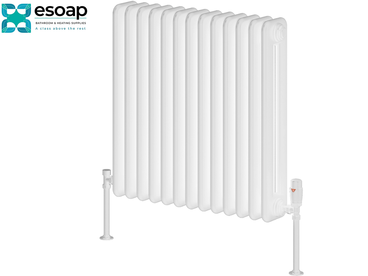 A white panel radiator with vertical fins, shown on a plain white background with the Esoap brand logo in the top-left corner Reina Hedingham Horizontal 600x600 White Designer Radiator