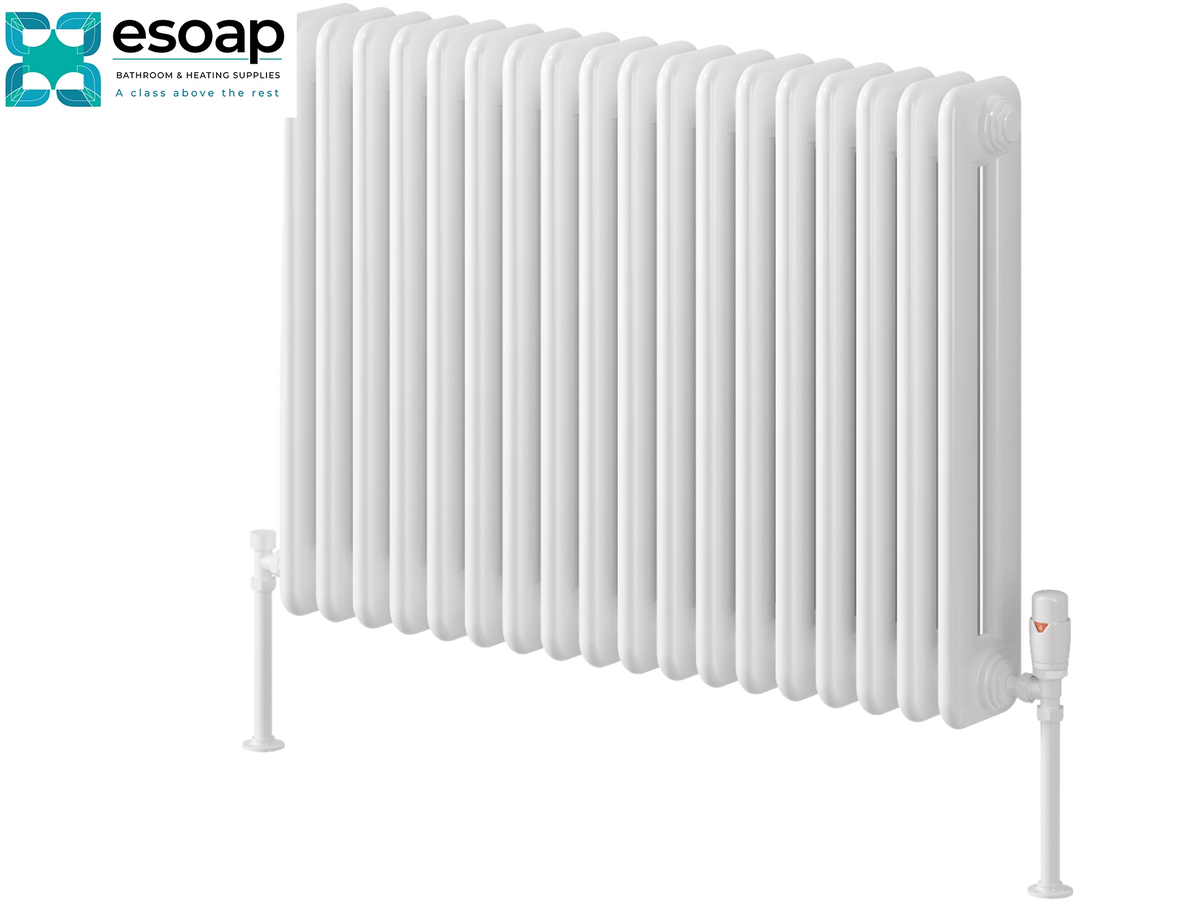 A white cast iron radiators with vertical fins, shown with its support feet and valve on a white background, featuring the Esoap brand logo in the top left corner Reina Hedingham Horizontal 600x820 White Designer Radiator