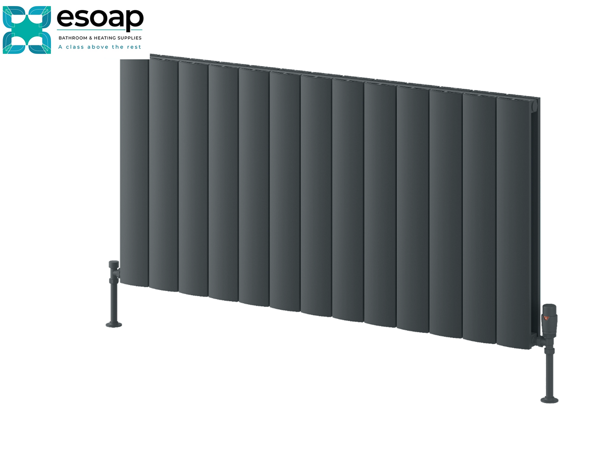 A dark gray sectional panel radiator shown at an angle on a white background, with the Esoap logo in the top-left corner. Reina Loco Horizontal Double 600x1230 Anthracite Designer Radiator
