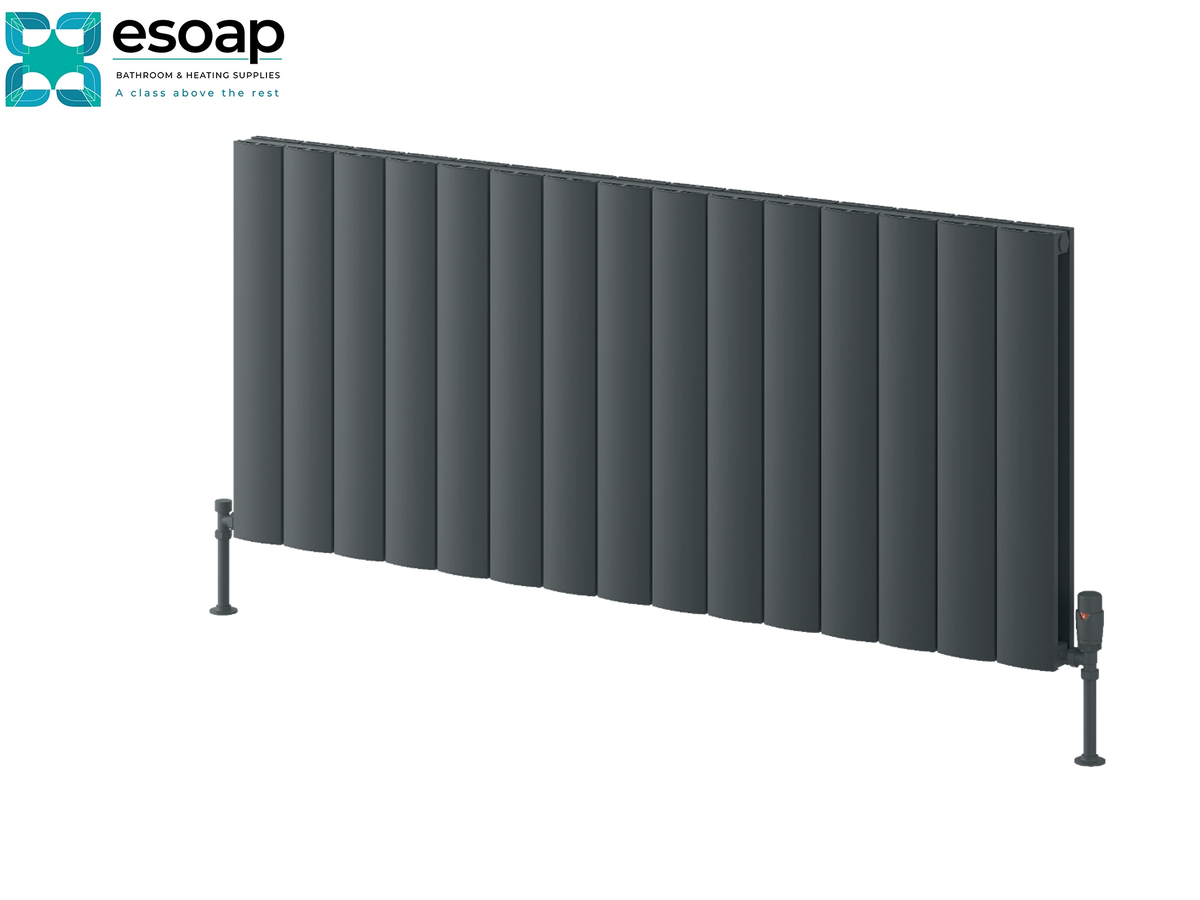 Reina Loco Horizontal Double 600x1420 Anthracite Designer Radiator
