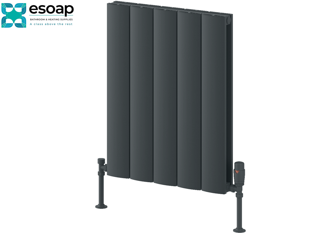 A dark gray vertical panel radiator with adjustable support legs, shown on a plain white background with the Esoap brand logo in the top-left corner. Reina Loco Horizontal Double 600x470 Anthracite Designer Radiator
