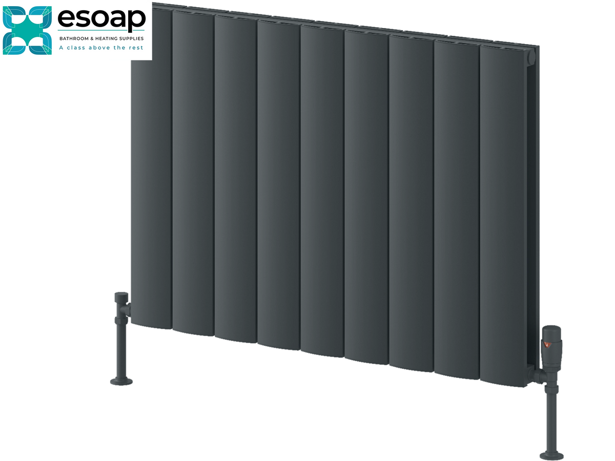 A dark gray vertical-panel radiators with adjustable support legs and a control valve, shown on a white background with the Esoap logo in the top-left corner. Reina Loco Horizontal Double 600x850 Anthracite Designer Radiator