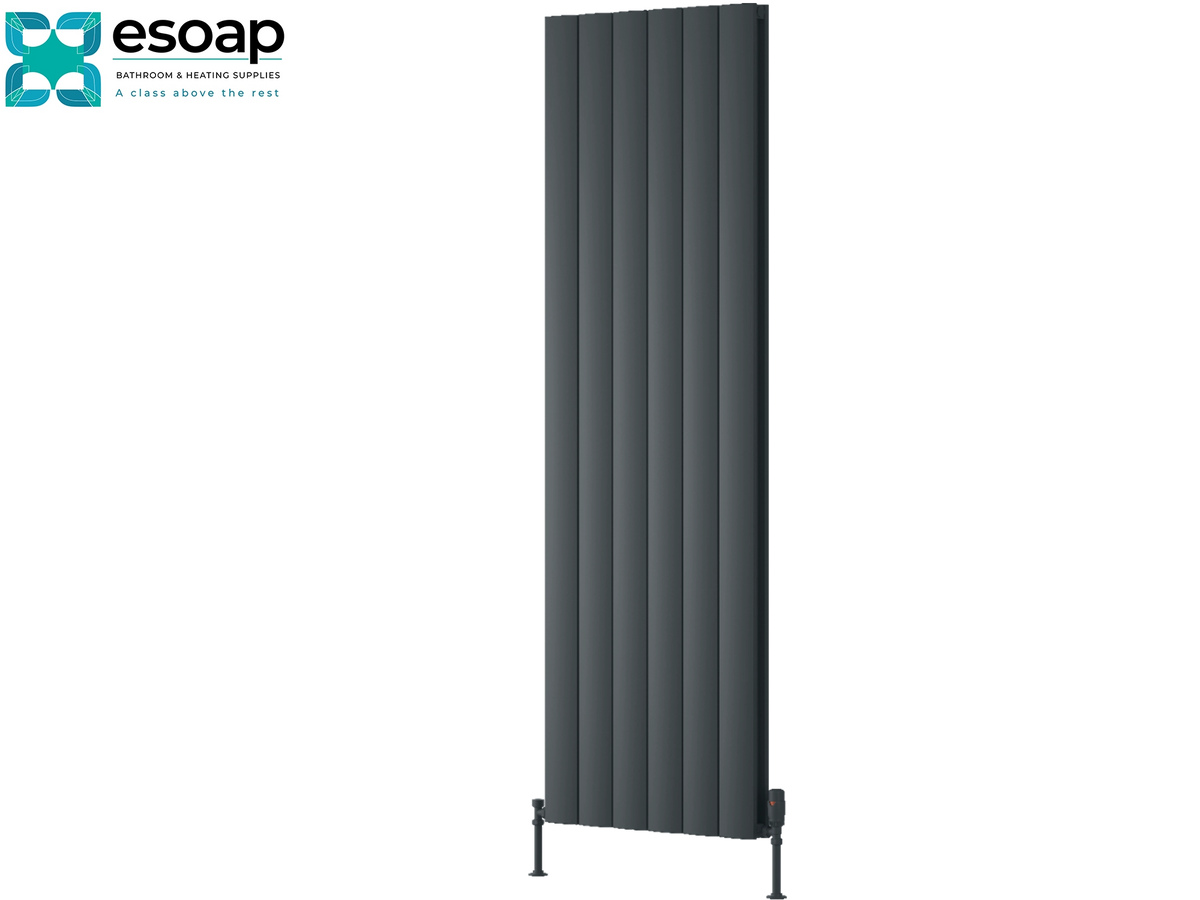 Reina Loco Vertical Double 1800x565 Anthracite Designer Radiator