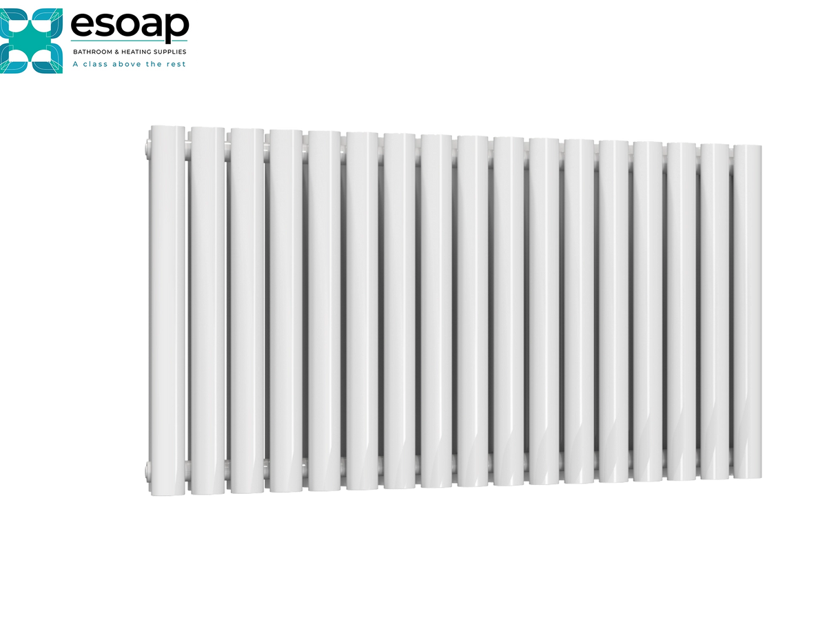 A white cast iron panel radiator shown from a front angle against a white background, featuring the Esoap brand logo in the top-left corner Reina Neva Horizontal Double 550x1003 White Designer Radiator