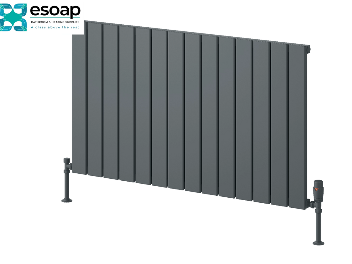 A dark gray panel radiator with adjustable feet, shown on a solid white background with the Esoap brand logo in the top-left corner. Reina Piatto Horizontal Single 600x1045 Anthracite Designer Radiator
