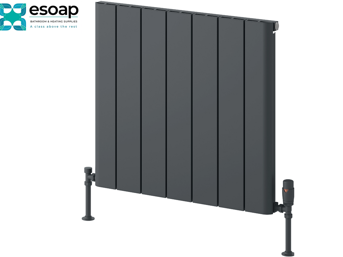 A dark gray vertical-panel radiator shown at an angle on a white background, with the Esoap logo in the top-left corner. Reina Resia Horizontal 600x660 Anthracite Designer Radiator